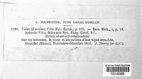 Image Associated With the Occurence